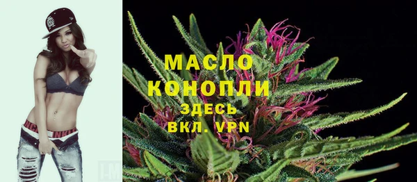 МДПВ Краснослободск