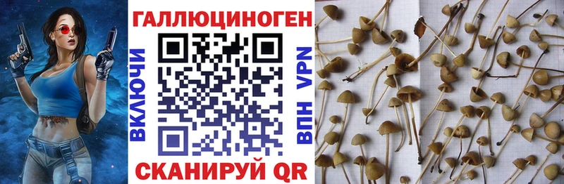 МЕГА вход  Константиновск  Галлюциногенные грибы Cubensis 